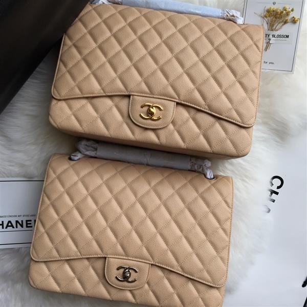 2026131214242126 780